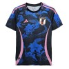 Officiële Voetbalshirt Japan Dragon Special 2024 - Heren